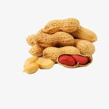 صور لمشغل الموسيقى arabic الكثير من معارض الصور الكثير من على alibaba com صورة مشغل الموسيقى arabic