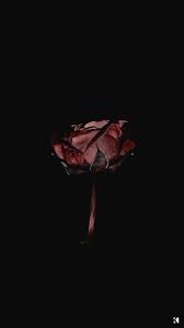 More images for rose wallpaper aesthetic black » Dark Aesthetic Death Wallpapers Wallpaper Cave