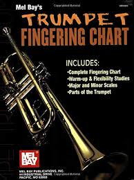 For fingerings with additional information, tap the i button to show more info. Trumpet Fingering Chart William Bay 9780871665058 Amazon Com Books