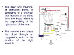 Calculating and working please be patient. Heart Lung Machine Lecture 9 Ppt Download