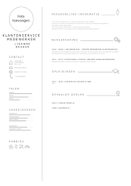 Cv Klantenservice Medewerker Voorbeeld Uitleg Perfect Cv