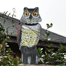 We did not find results for: Home Garden Large Artificial Bird Realistic Taxidermy Home Garden Decor 22cm 47cm Pick Home Decor