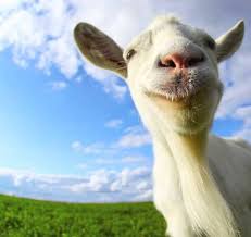 How to unlock all goats in goat simulator waste of space pt.2. Free Goat Simulator Ios App Guide2free Samples Goat Simulator Goats Funny Goats