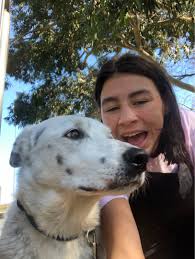 Joining our team means you'll play a crucial role in advancing our digital. Pet Taxi In Canterbury With Best Prices On Petbacker