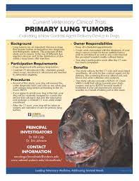 The signs of metastatic lung disease are similar to those of primary lung tumors except that coughing is less common. Uc Davis Veterinary Medicine On Twitter Ucdavis Recruiting Clinical Trial Primary Lung Tumors In Dogs Https T Co Yfqsbsrdiz