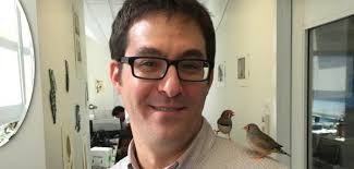 Songbird mechanics resemble those of a trained opera singer