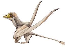 From wikimedia commons, the free media repository. Bellubrunnus Pteros Extinct Animals Prehistoric Animals Prehistoric Creatures