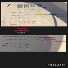 We did not find results for: Molekulargenetik Vom Gen Zum Protein Transkription Translation 26 6 19 5 2 Flashcards Quizlet