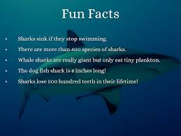 i survived shark attacks by s512334