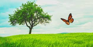 Roger Sufka Obituary