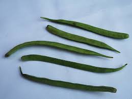 Image result for Cyamopsis