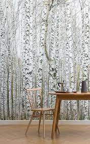Papier Peint Foret De Bouleaux Blancs Murals Wallpaper Birch Tree Wallpaper Mural Wallpaper Wood Effect Wallpaper