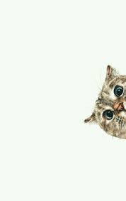 Pin By Vita Pan On Cats Cat Wallpaper Animal Wallpaper Cute Wallpapers