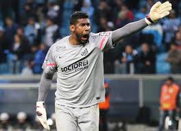 O jogador de 34 anos assinou contrato de um ano, após realizar exames médicos. Santos Pede Punicao A Torcedores Que Insultaram Goleiro Aranha