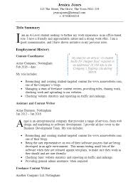 How To Write A Cv 2019 Guide Cv Template Master
