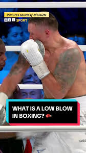 Understanding Low Blows in Boxing: Usyk vs Dubois Insights