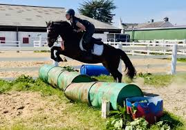 Image result for tbn:nS7VVzE55vmeuM::www.sportnat.com/lapouneur/bouton/course.gif