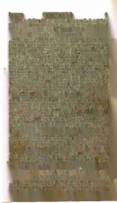 Image result for Coronopus integrifolius