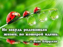 счастье это когда утром с радостью идешь на работу Maru Marinamaru2014 Life Words Jail