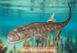 Setidaknya ada dua alasan mengapa evolusi hewan darat lebih cepat dari pada evolusi hewan laut: Kehidupan Prasejarah Semasa Zaman Devonian Sains July 2021