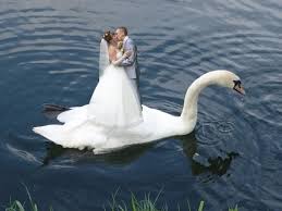 Check spelling or type a new query. The Wedding Pictures Are So Ugly That The Bride And Groom Are Ready To Cancel The Wedding