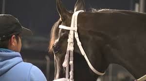 Et, will be held at at churchill downs in louisville, ky. 147th Kentucky Derby Betting Locations Otb In Cincinnati Nky