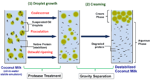Downstream Processing For Production Of Value Added Products