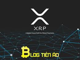 Find out here in coincentral court. What Is Xrp What Is Ripple Are They The Same
