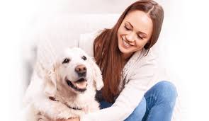 All pets are emotional support animals. Emotional Support Animal And Psychiatric Service Dog Letters