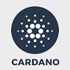 In just three months, cardano has gone from the 10th to the 6th largest cryptocurrency in the world. Https Encrypted Tbn0 Gstatic Com Images Q Tbn And9gcr3m1lbd Lywqdt0mx7jwenyonnsgvnwvxrbu Xvnm Usqp Cau