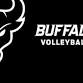 Buffalo Bulls Womens Volleyball