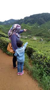 Posted on january 16, 2014 by zanisa. Short Vacation Jalan Jalan Di Cameron Highland