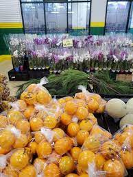 I bought about $40 worth of vegetables and flowers. Produce Junction 24 Reviews Fruits Veggies 1730 Macarthur Rd Whitehall Pa Phone Number