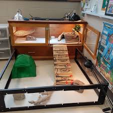 Middle School Students And I Transformed An Old Dresser Into A Bearded Dragon Vivarium Han Bearded Dragon Vivarium Bearded Dragon Diy Bearded Dragon Enclosure