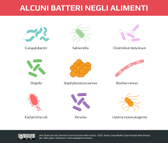 Ha bisogno del tuo aiuto per saperne di più sul nostro pianeta! Rischio Biologico Nell Alimentazione Introduzione