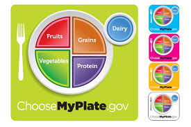 Image result for Nutrition Guidelines