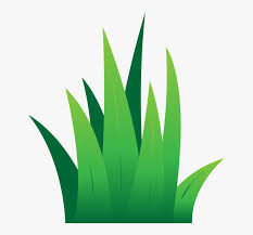 Check Out Lawn Care Tips Cartoon Grass Vector Png Transparent Png Kindpng 6000 x 2247 png 1329 кб. cartoon grass vector png transparent