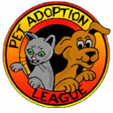 Find our more about our pet adoption process here. Donate A Car To A Nonprofit