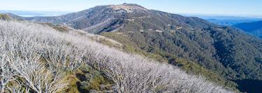 Join us on top of the world! Book Your Accommodation In Mt Buller Ams Mt Buller
