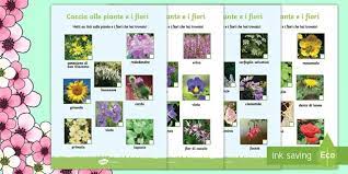 Flower names in italian.🎯 per favore, abbonatevi per altri video.👉 htt. Schede Didattiche Della Primavera Caccia A Fiori E Piante