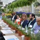 Check spelling or type a new query. Mcardle S Florist And Garden Center Greenwich Free Press