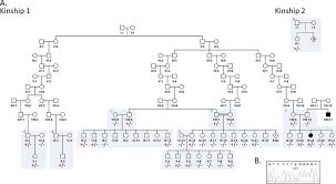 Family pedigrees showing SCN9A NM_002977 c.1921A>T p.(Asn641Tyr)...