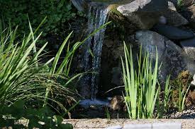 Zierkies kaufen und den garten optisch aufwerten. Gartengestaltung Mit Naturstein Wundervolle Moglichkeiten Ksv Natursteine