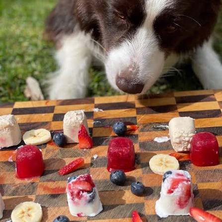 Don't be a silly banana! 🐾🐶 FROZEN DOG TREATS PERFECT FOR THE SUMMER TIME  YAYYYY. Finally cold, fresh, vibrant and of course tasty frozen dog treats,  perfect for the hot weather! The