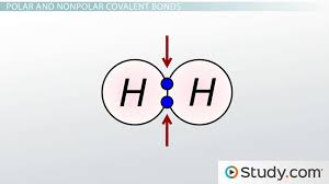 Chemical Bonds Iii Polar Covalent Video Lesson Transcript Study Com The molecular orbital formed by addition of atomic. chemical bonds iii polar covalent video