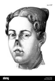 No nose hi-res stock photography and images