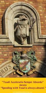 Light riding horses usually range in height from 14 to 16 hands (56 to 64 inches, 142 to 163 cm) and can weigh from 380 to 550 kilograms (840 to 1,210 lb).25 larger riding horses usually start at about. Toadi Acceleratio Semper Absurda Means Speeding With Toad Is Alwasy Absurd Disney Nerd Disneyland Disney Disney Jokes