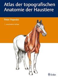 Ihr traumhaus zum kauf in stuttgart finden sie bei immobilienscout24. Atlas Der Topografischen Anatomie Der Haustiere Von Peter Peter Popesko Isbn 978 3 8304 1139 0 Fachbuch Online Kaufen Lehmanns De