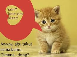 33 Gambar Wallpaper Kartun Kucing Lucu Gambar Kucing Galau Dan Kata Kata Aniversario Jefferson Kucing Gifs Tenor Lebanese Tag A Kartun Gambar Kartun Kucing