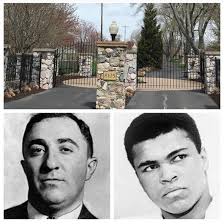 Berrien Springs, MI is a great town. It is also a great camping area  surrounded by wineries and breweries. This area is also rich in history.  Nine minutes away from our campsite